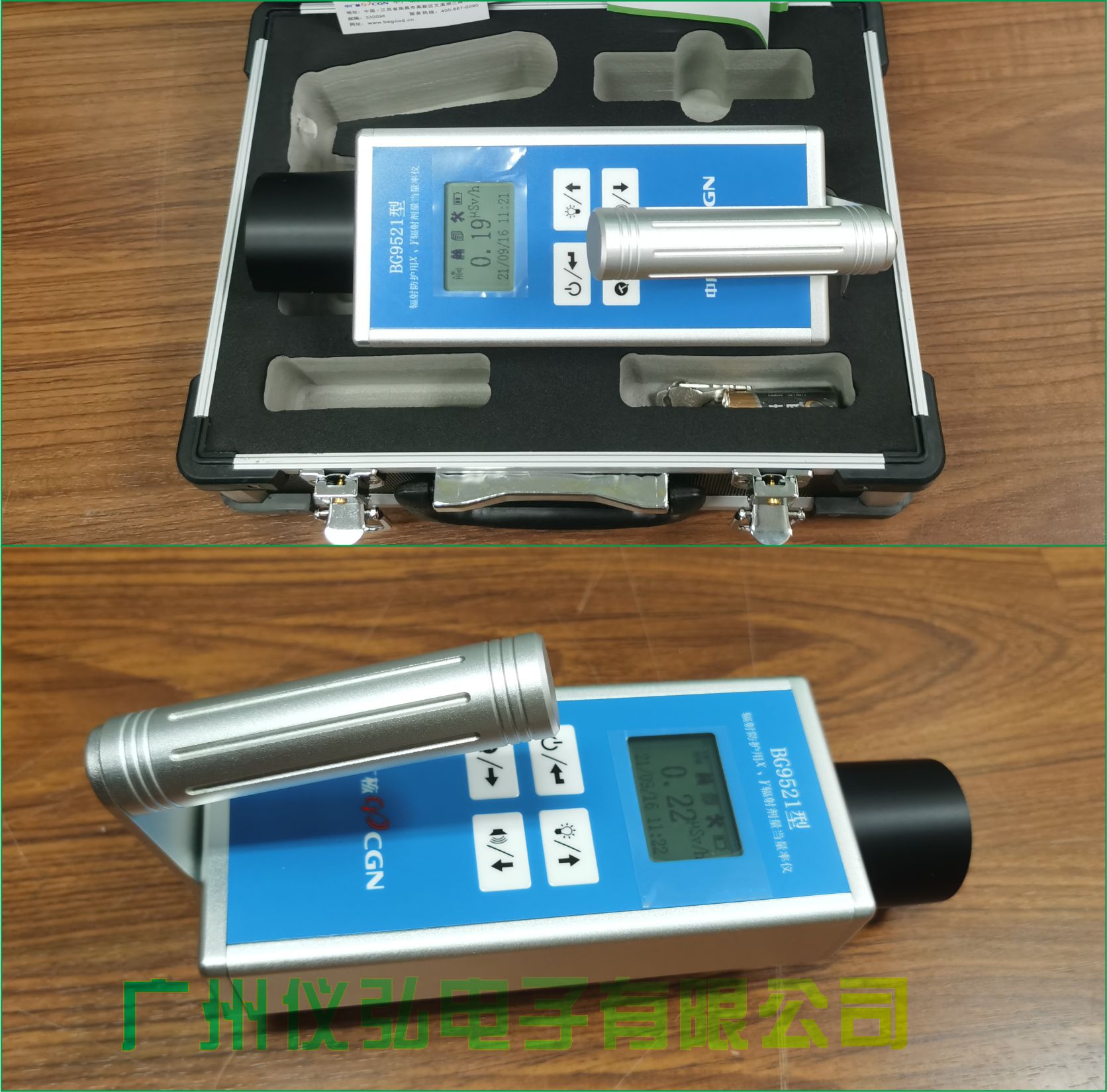 BG9521型輻射防護(hù)用χ、γ劑量當(dāng)量率儀